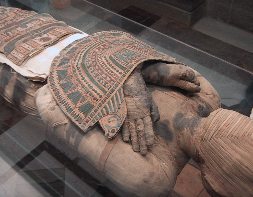 Mummy in museum case